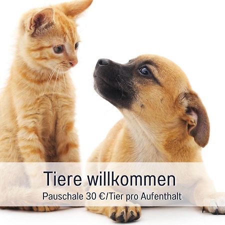 Rosmarin - Kuschelige Fewo - Romantik & Entspannung Im Whirlpool Auf Privater Terrasse, Ruhe & Hund Willkommen - By Ferienwohnenamsee - Юберлінген Екстер'єр фото